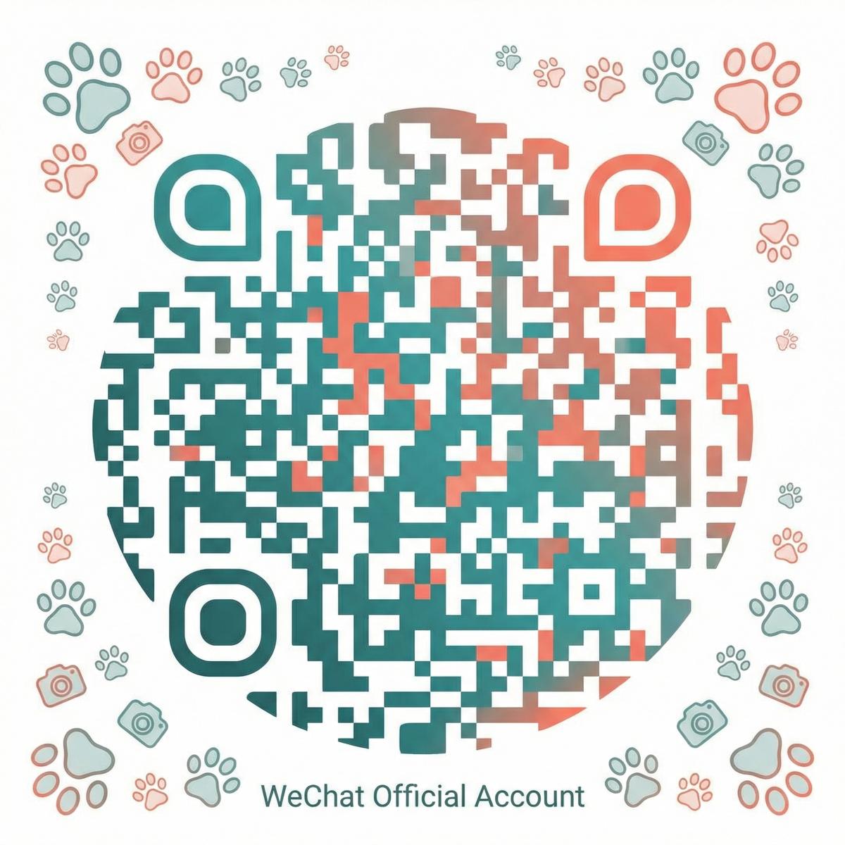 里番网公众号二维码